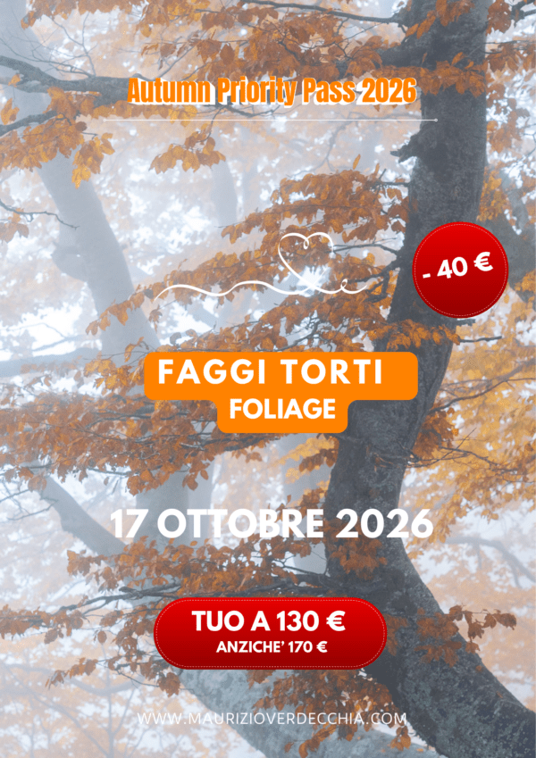 PRE-ISCRIZIONE: Faggi Torti - Foliage - 17 Ottobre